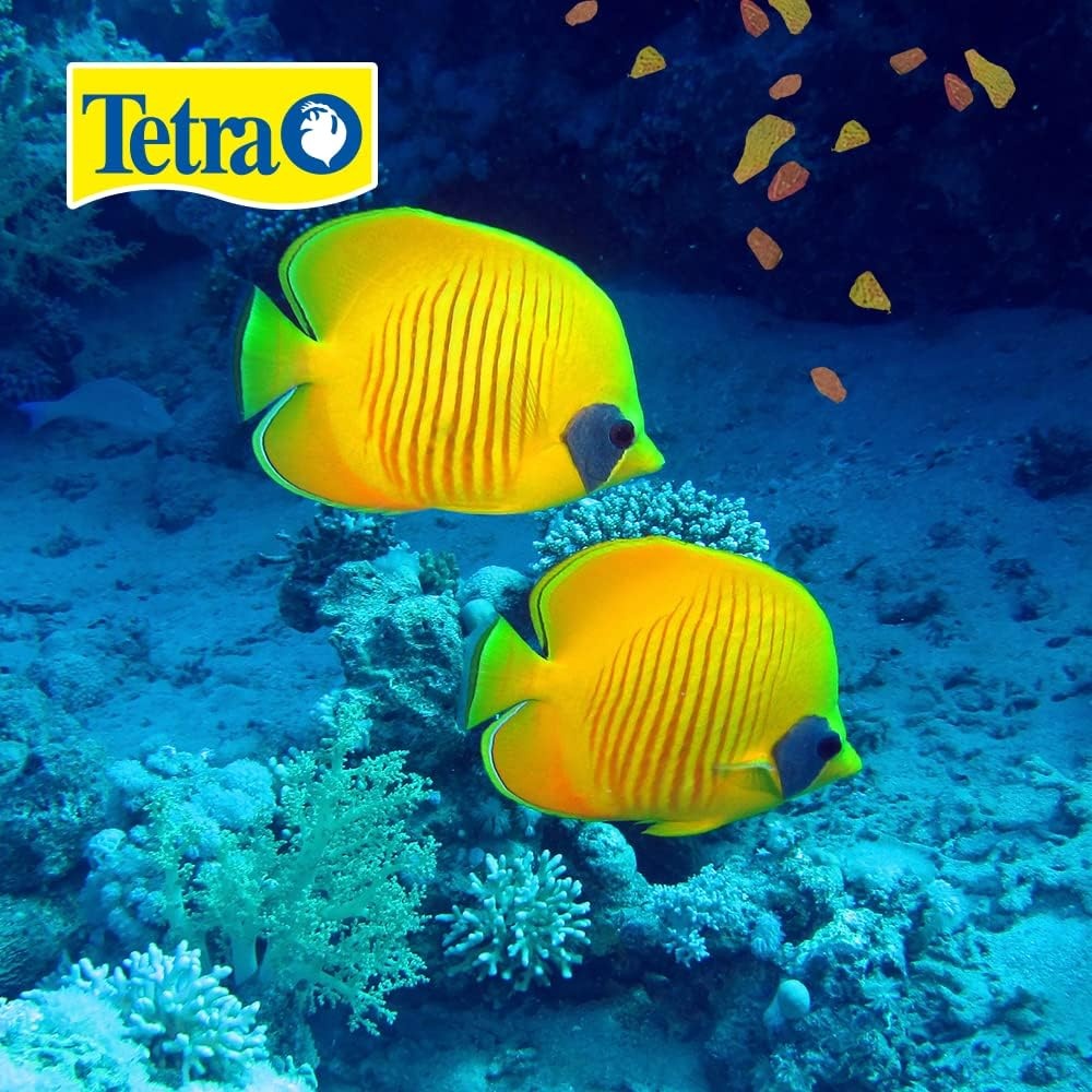 image:imageTetra 16155 Min Large Tropical Flakes For TopMid Feeders 565Ounce