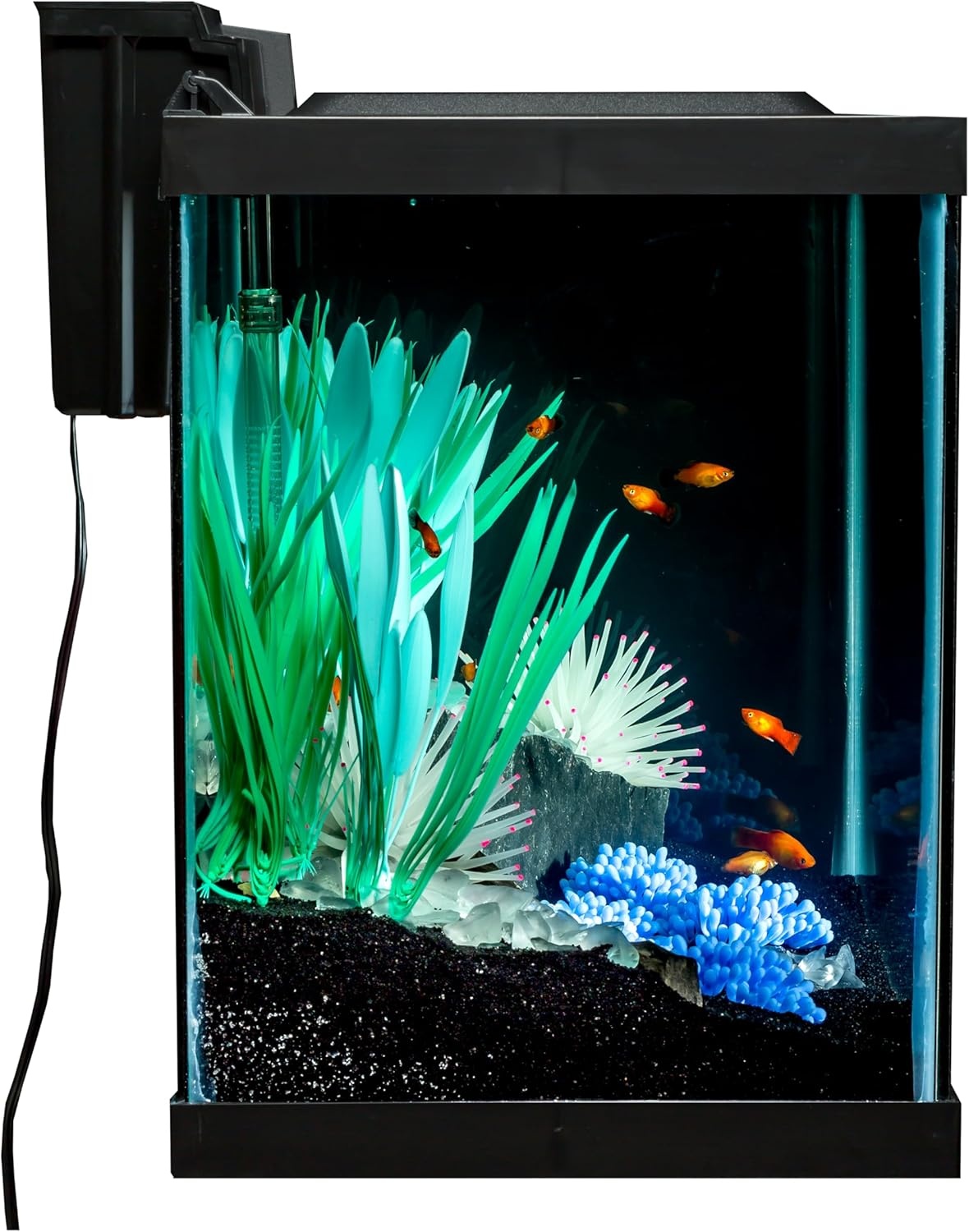 image:imageTetra Aquarium 20 Gallon Complete Tropical Fish Tank Kit With LED Lighting And Decor For Freshwater FishColor Fusion