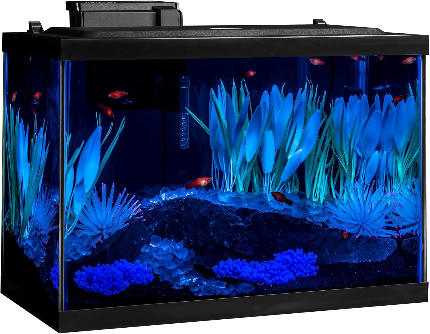 image:imageTetra Aquarium 20 Gallon Complete Tropical Fish Tank Kit With LED Lighting And Decor For Freshwater FishColor Fusion