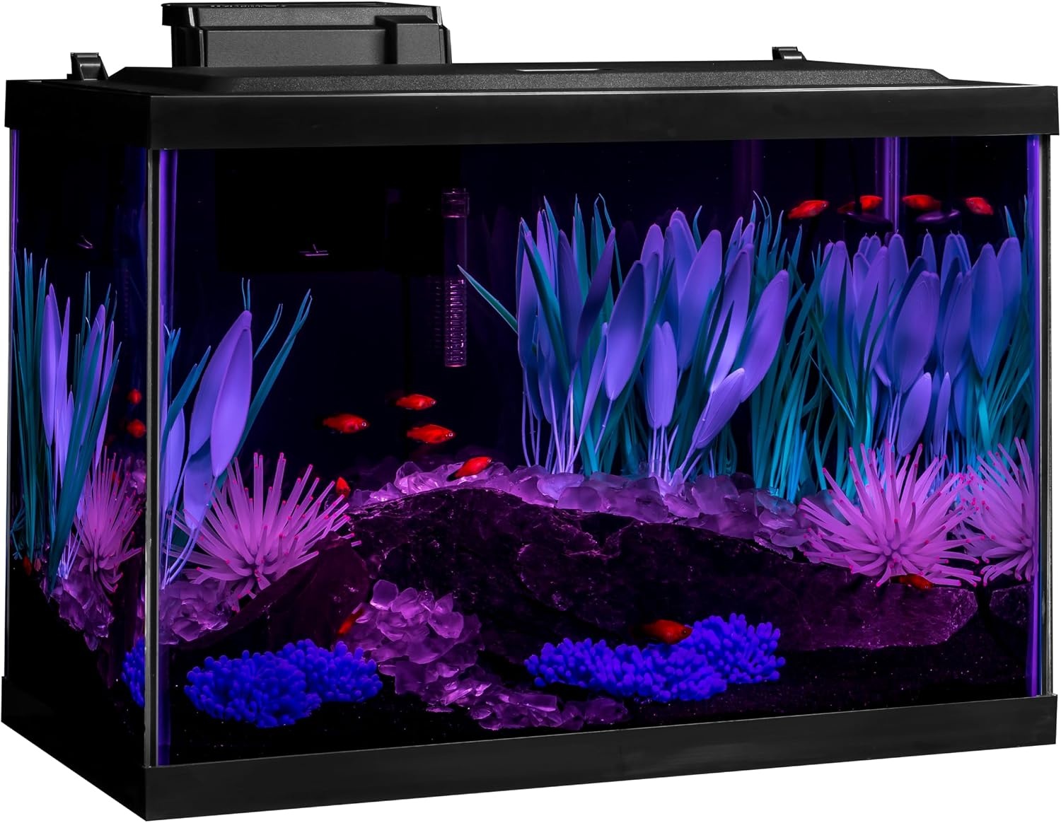 image:imageTetra Aquarium 20 Gallon Complete Tropical Fish Tank Kit With LED Lighting And Decor For Freshwater FishColor Fusion