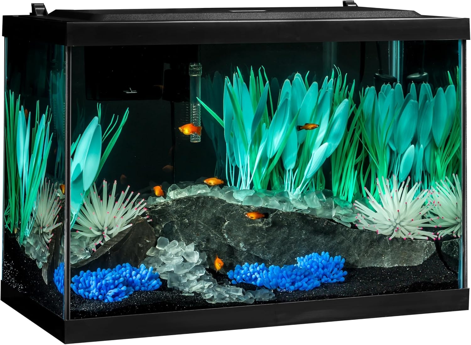 image:imageTetra Aquarium 20 Gallon Complete Tropical Fish Tank Kit With LED Lighting And Decor For Freshwater FishColor Fusion