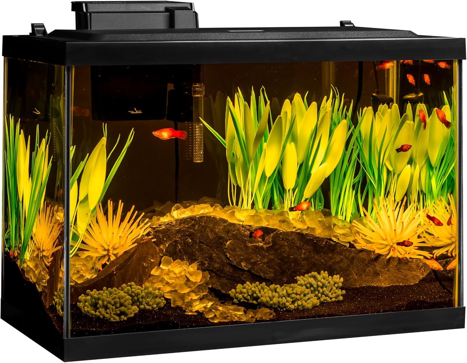 image:imageTetra Aquarium 20 Gallon Complete Tropical Fish Tank Kit With LED Lighting And Decor For Freshwater FishColor Fusion