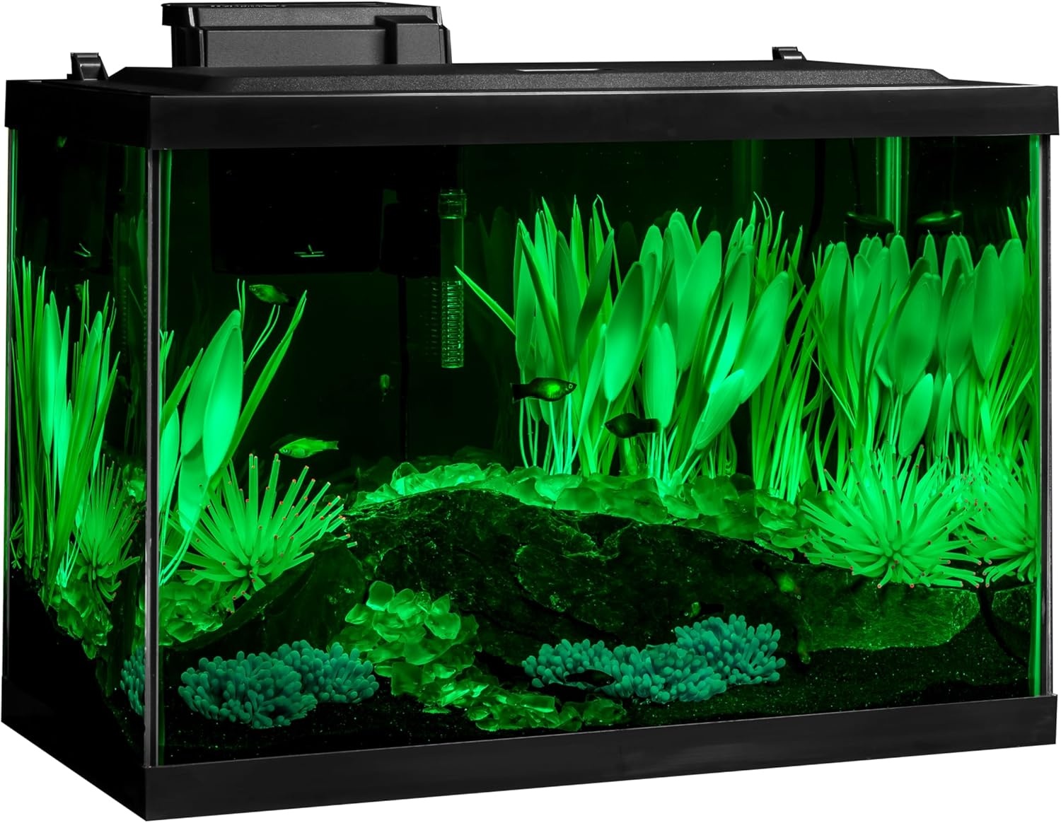 image:imageTetra Aquarium 20 Gallon Complete Tropical Fish Tank Kit With LED Lighting And Decor For Freshwater FishColor Fusion