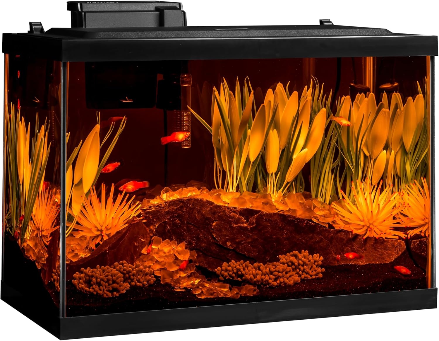 image:imageTetra Aquarium 20 Gallon Complete Tropical Fish Tank Kit With LED Lighting And Decor For Freshwater FishColor Fusion
