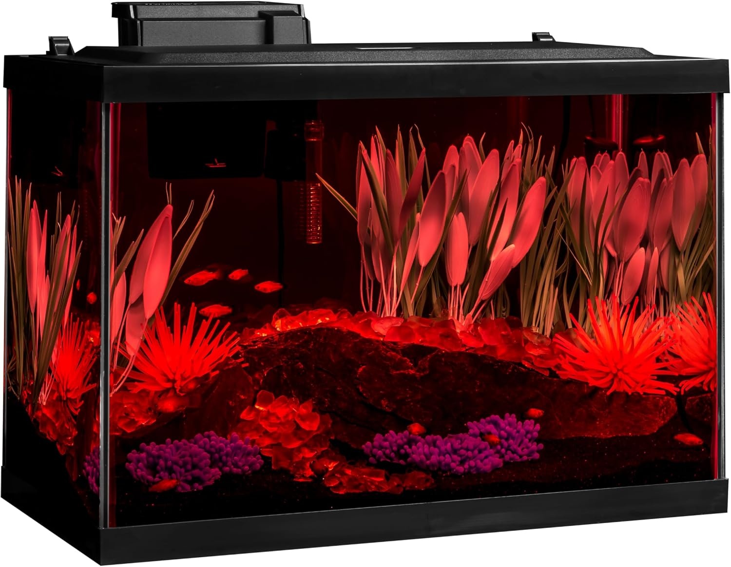 image:imageTetra Aquarium 20 Gallon Complete Tropical Fish Tank Kit With LED Lighting And Decor For Freshwater FishColor Fusion