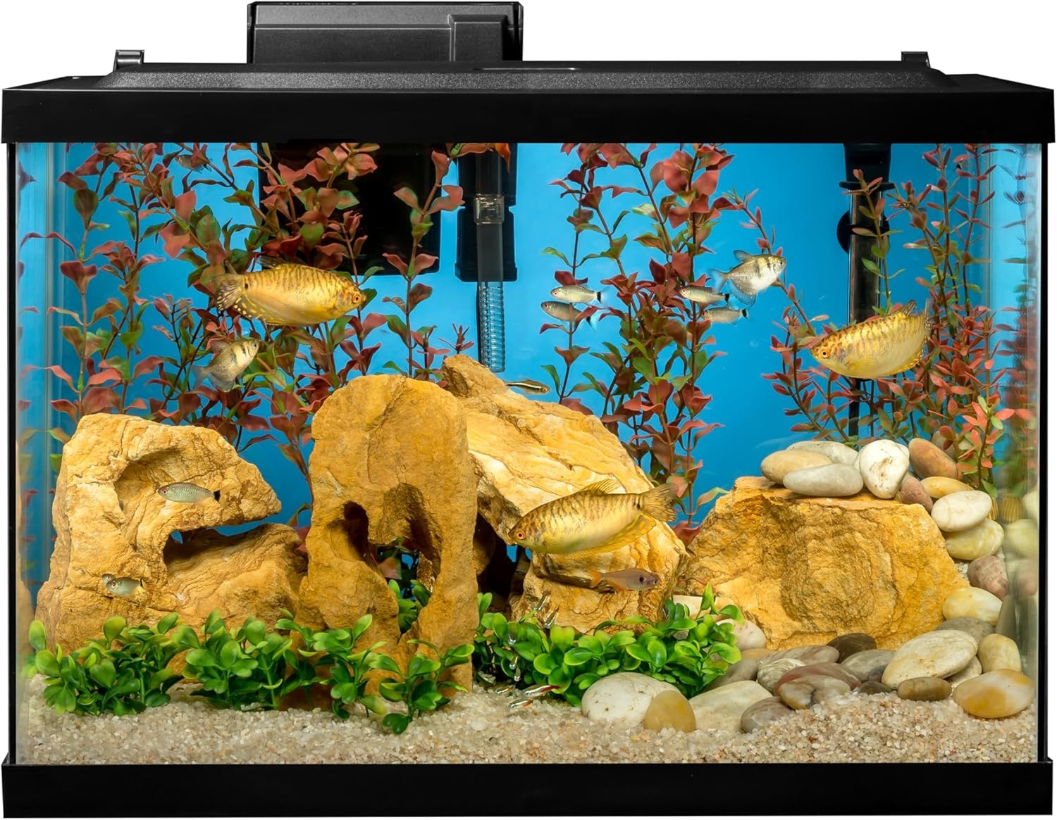 image:imageTetra Aquarium 20 Gallon Complete Tropical Fish Tank Kit With LED Lighting And Decor For Freshwater FishTetra