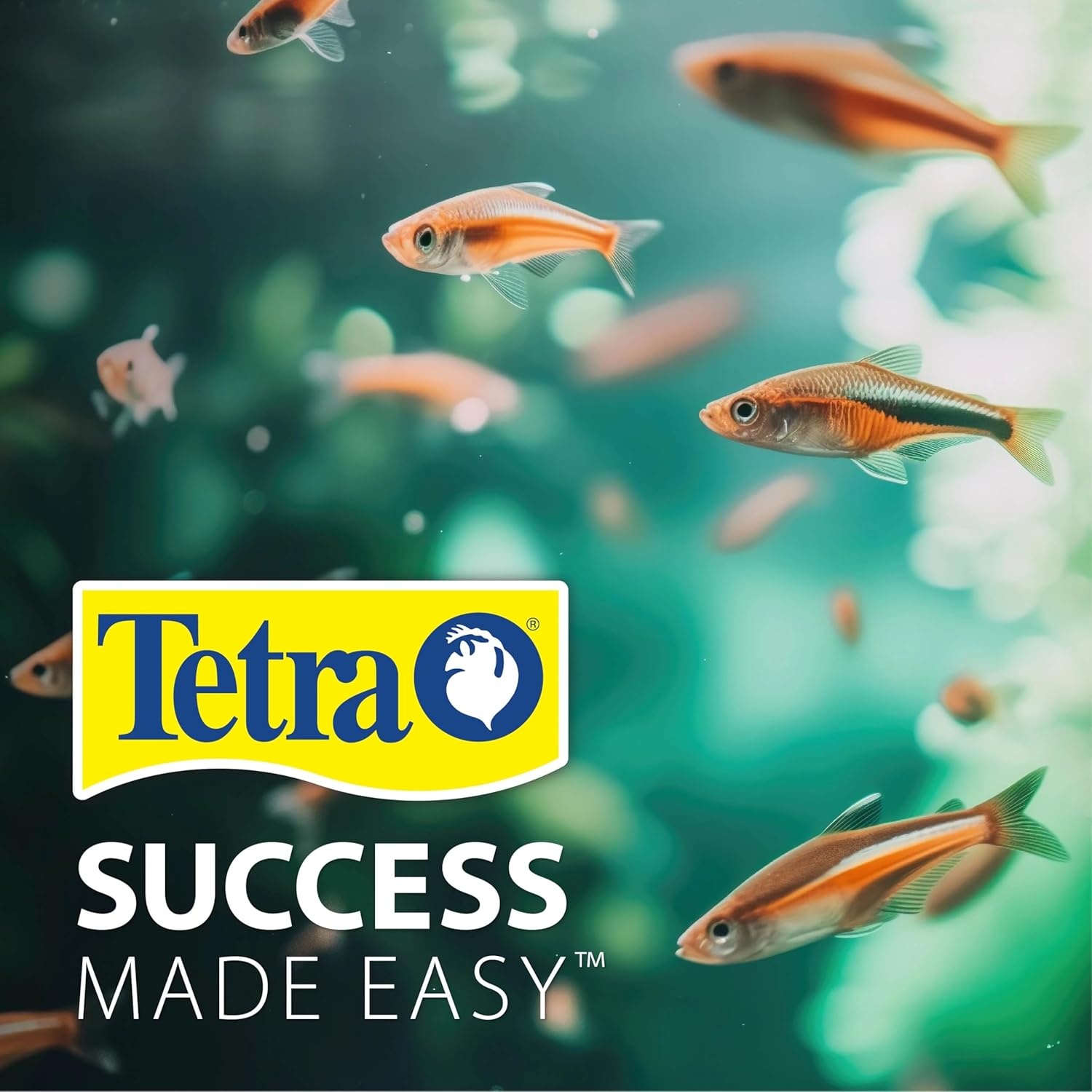 image:imageTetra Aquarium 20 Gallon Complete Tropical Fish Tank Kit With LED Lighting And Decor For Freshwater FishTetra