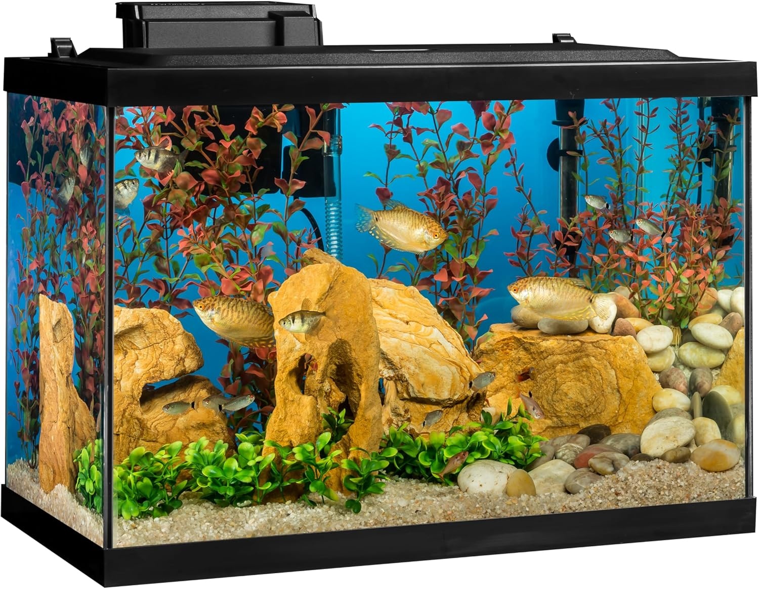 image:imageTetra Aquarium 20 Gallon Complete Tropical Fish Tank Kit With LED Lighting And Decor For Freshwater FishTetra
