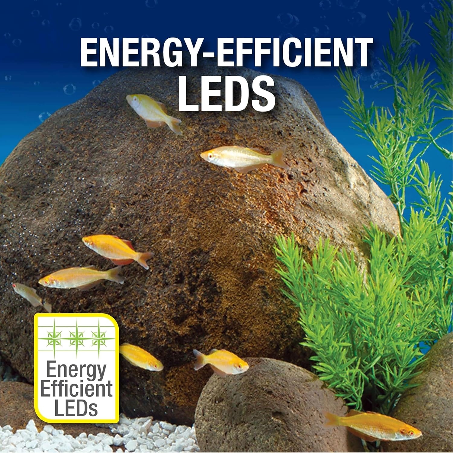 image:imageTetra Aquarium 20 Gallon Complete Tropical Fish Tank Kit With LED Lighting And Decor For Freshwater FishTetra