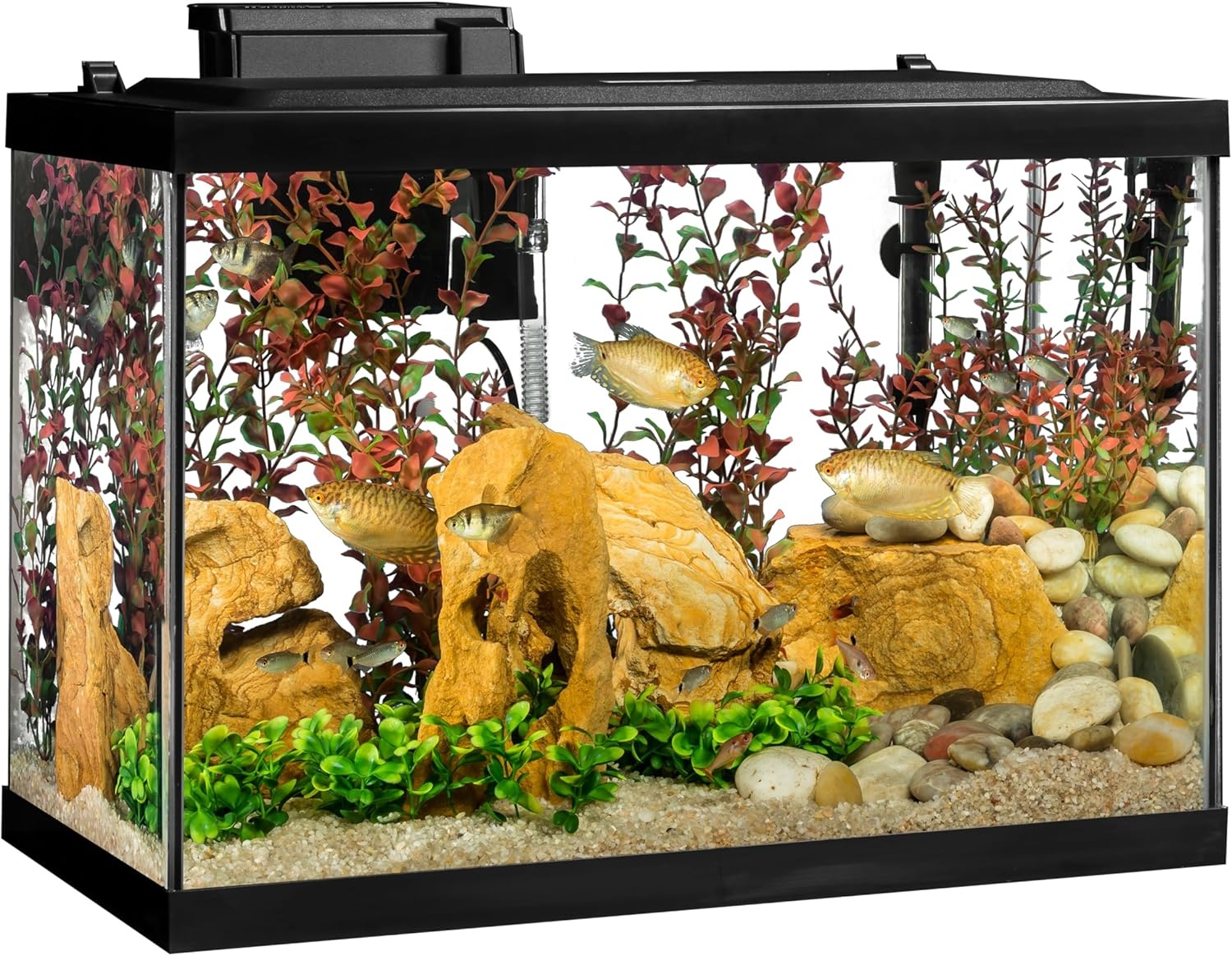 image:imageTetra Aquarium 20 Gallon Complete Tropical Fish Tank Kit With LED Lighting And Decor For Freshwater FishTetra