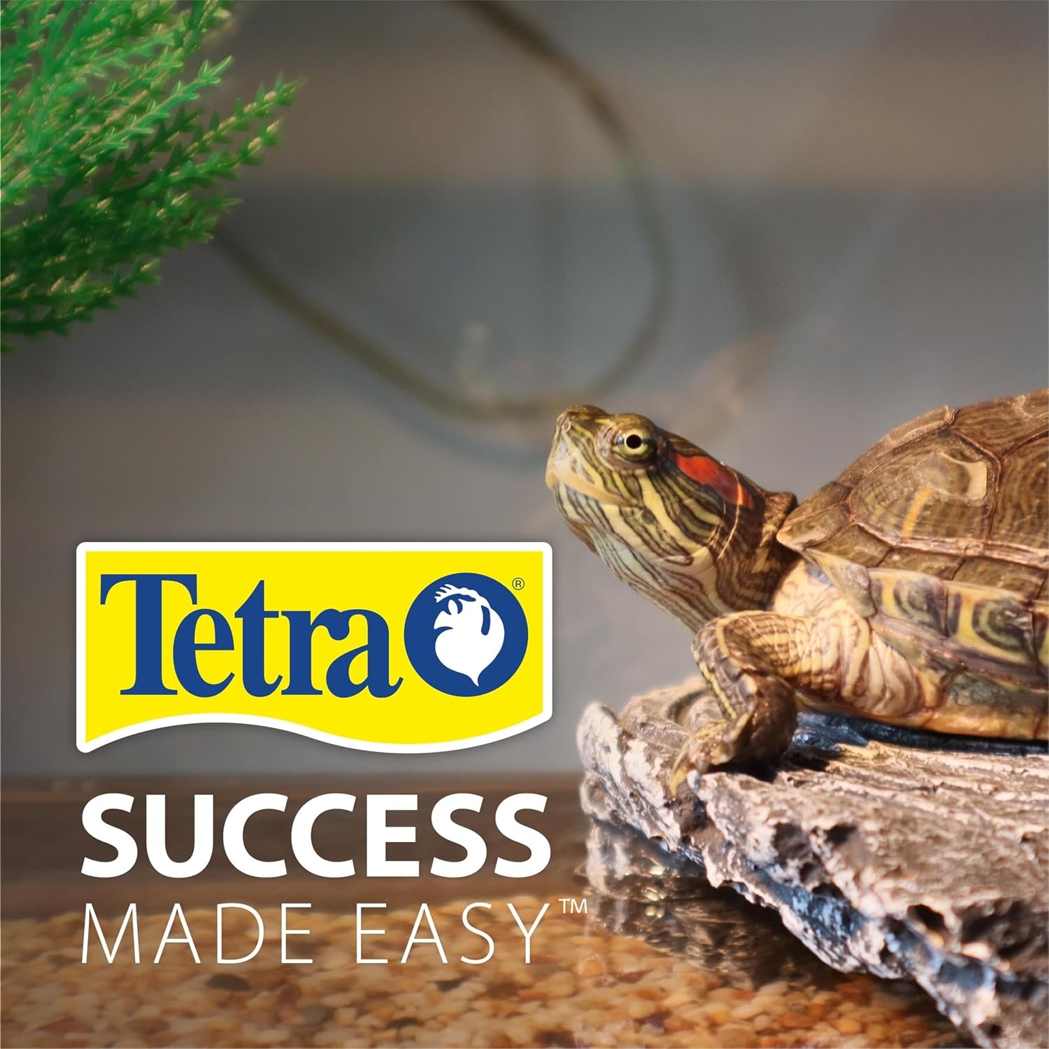 image:imageTetra Aquatic Turtle Deluxe Kit 20 Gallons aquarium With Filter And Heating Lamps 30 IN NV3323015 gallon