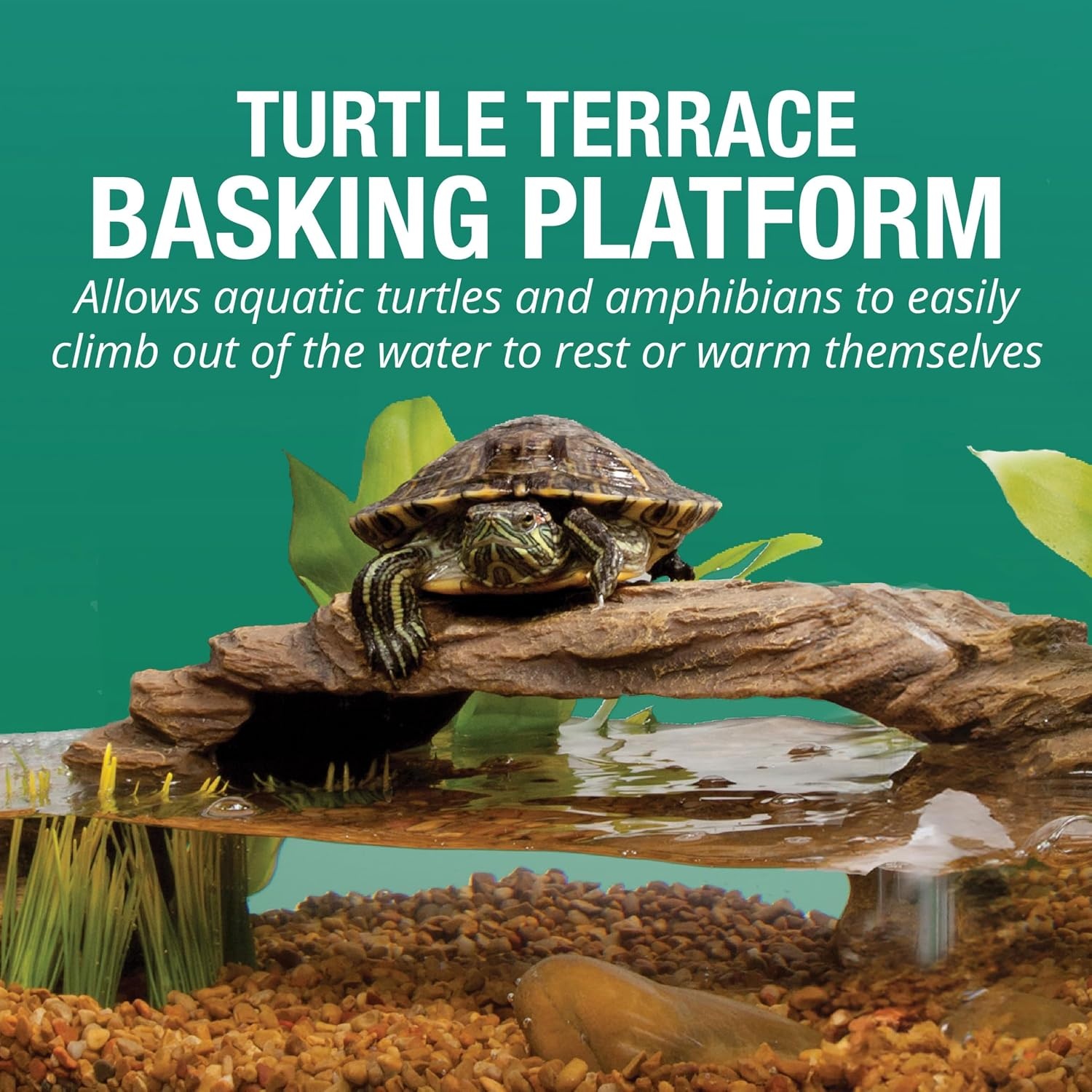 image:imageTetra Aquatic Turtle Deluxe Kit 20 Gallons aquarium With Filter And Heating Lamps 30 IN NV3323015 gallon