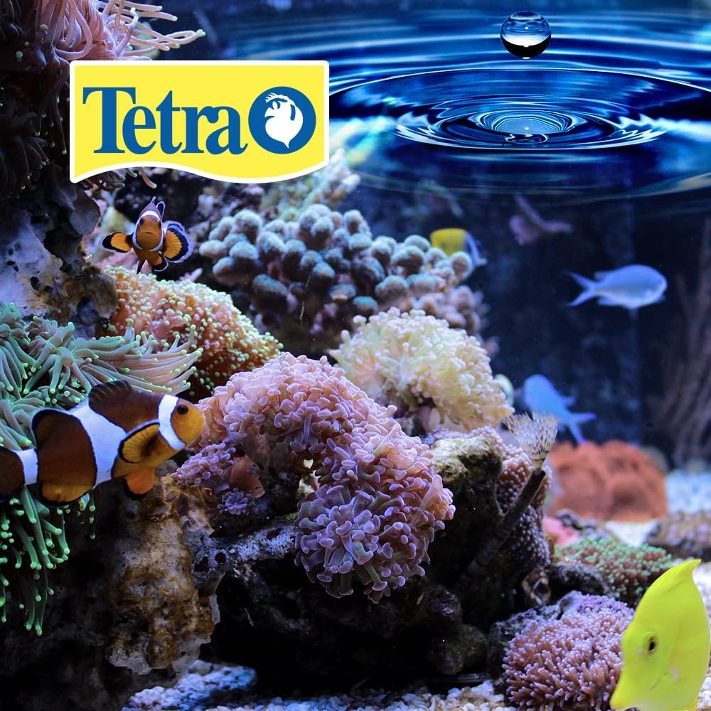 image:imageTetra BettaSafe Aquarium Water Conditioner For Bettas 169Ounce 50ml Golds amp Yellows 16837Golds Yellows