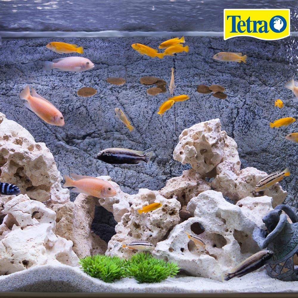 image:imageTetra Cichlid Flakes Nutritionally Balanced Fish Food for All Cichlids 175 Pounds882 Ounce Pack of 1