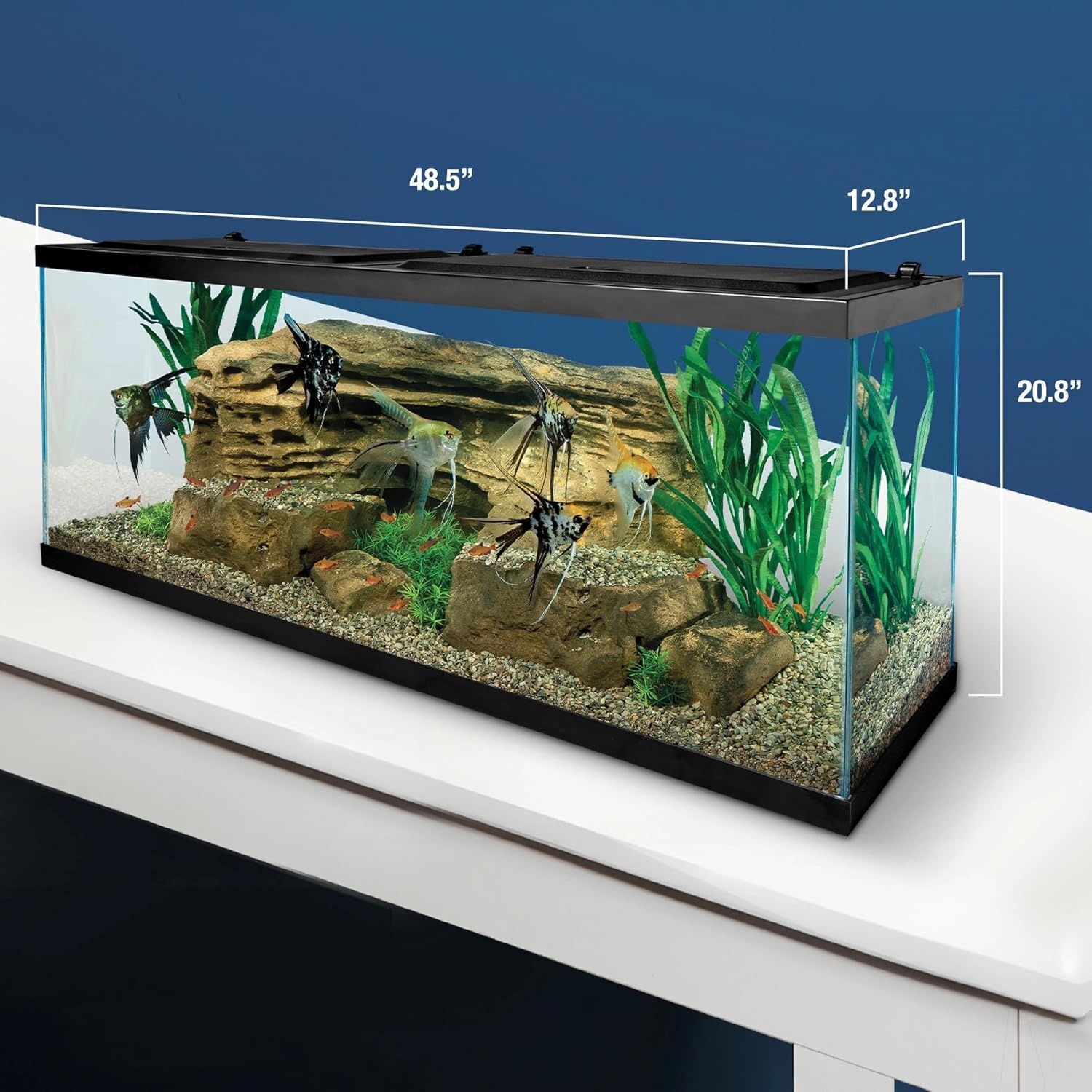 image:imageTetra Complete LED Aquarium Kit for Fish 55 Gallons Includes White LED Lights Filter Heater and Accessories