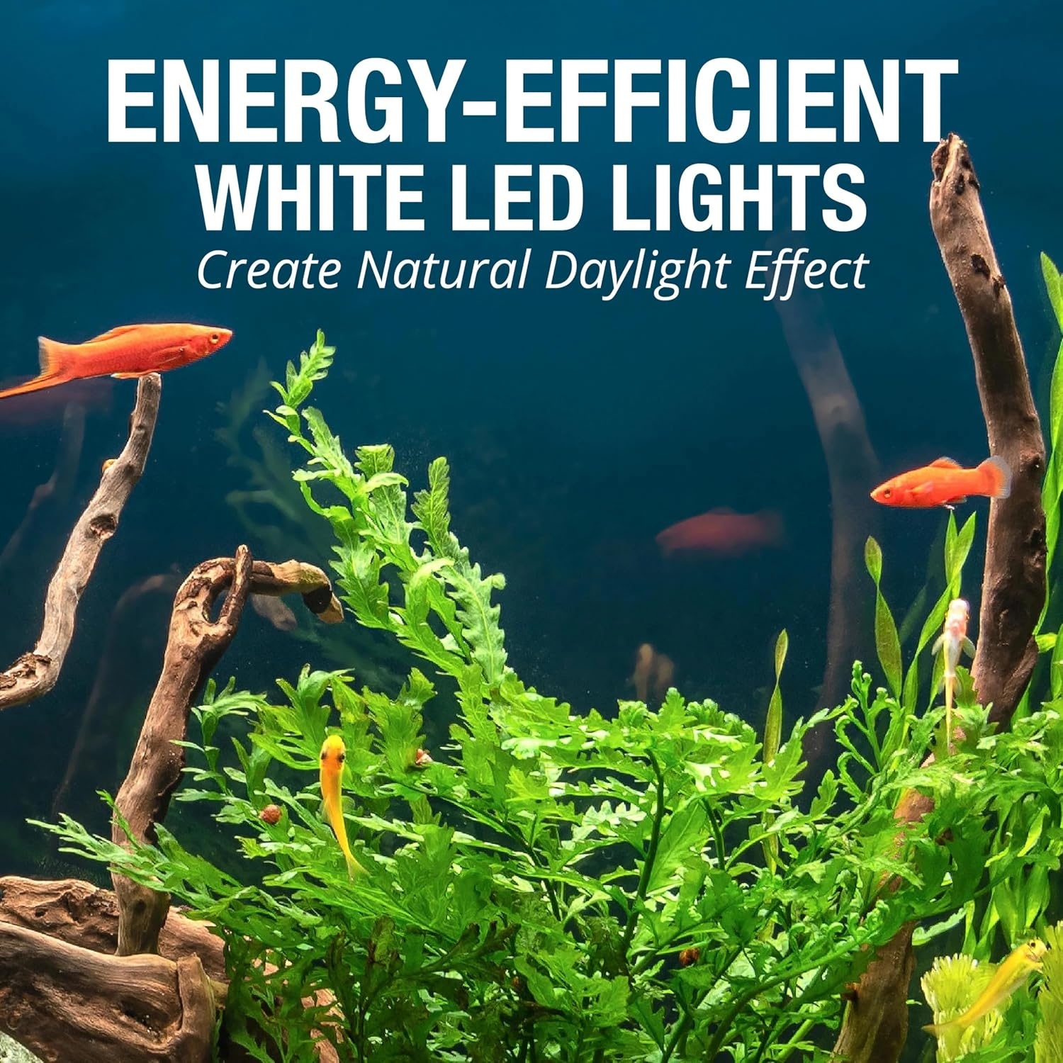 image:imageTetra Complete LED Aquarium Kit for Fish 55 Gallons Includes White LED Lights Filter Heater and Accessories