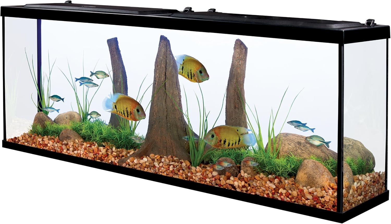 image:imageTetra Complete LED Aquarium Kit for Fish 55 Gallons Includes White LED Lights Filter Heater and Accessories