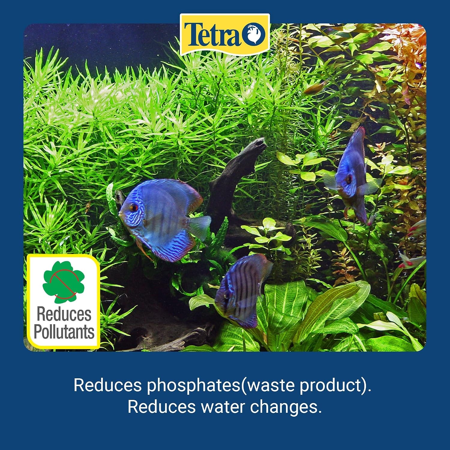 image:imageTetra EasyBalance Plus 338 Ounces Weekly Freshwater Aquarium Water Conditioner 836135338Ounce Pack of 2