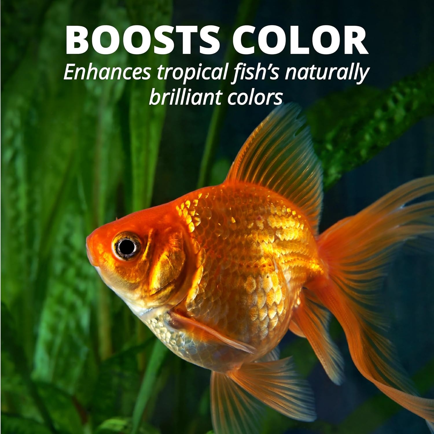image:imageTetra Goldfish Variety Pellets Balanced Diet 187 Ounce042 Ounce Pack of 1