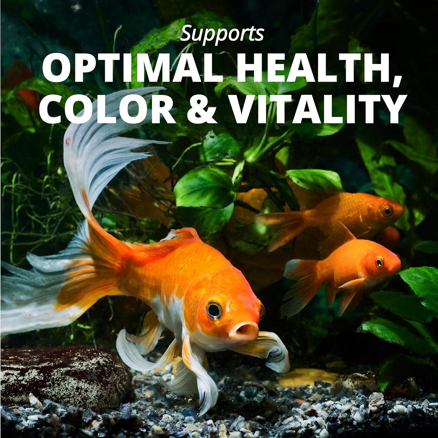 image:imageTetra Goldfish Variety Pellets Balanced Diet 187 Ounce1 Ounce Pack of 36
