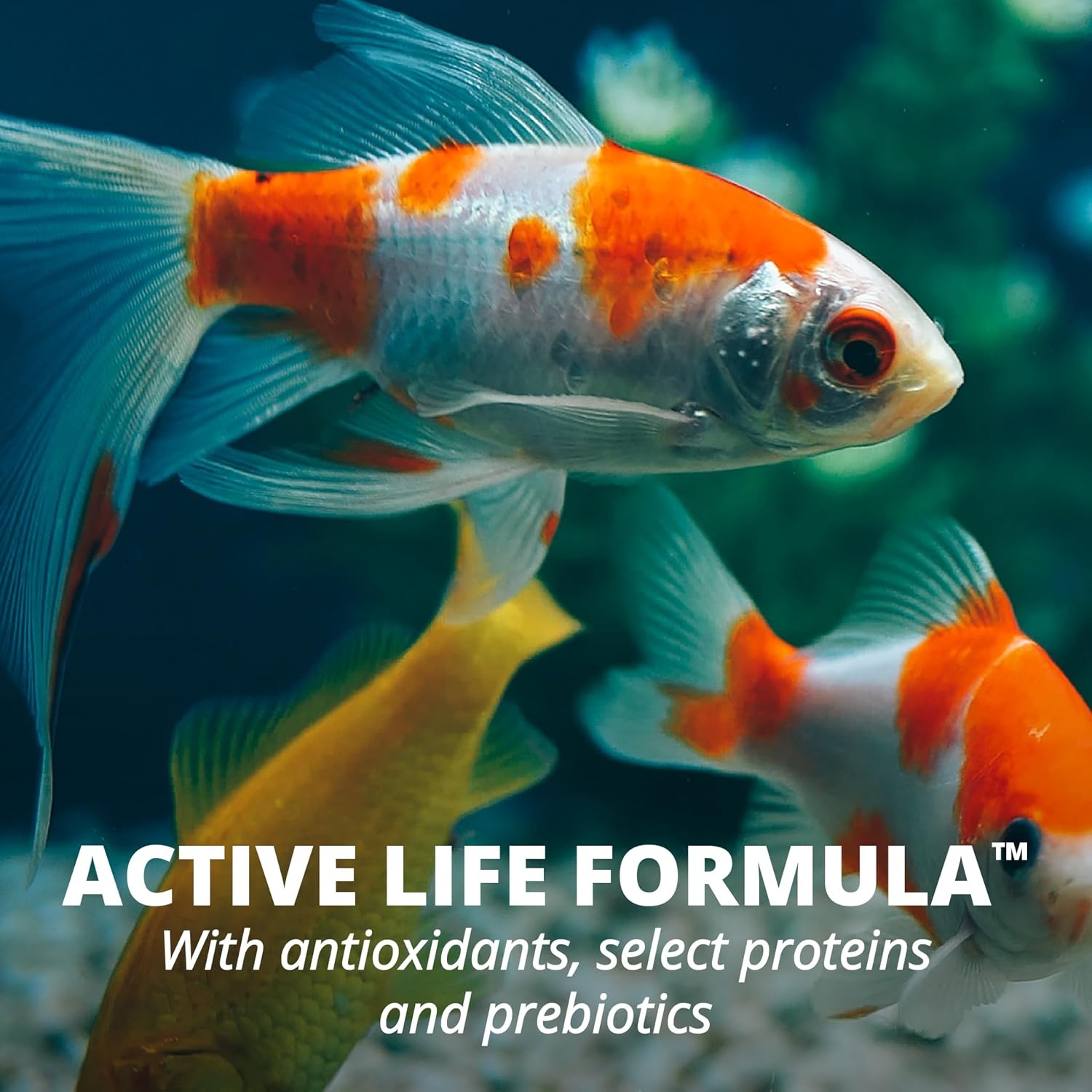 image:imageTetra Goldfish Variety Pellets Balanced Diet 187 Ounce1 Ounce Pack of 36
