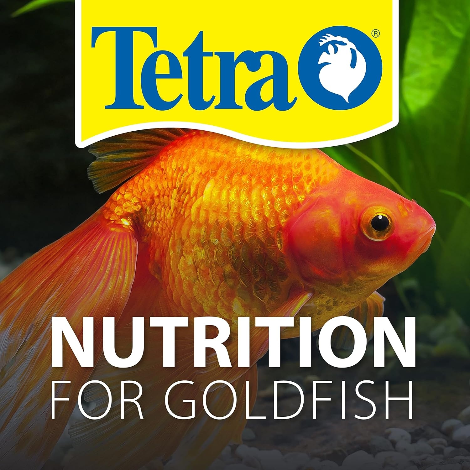 image:imageTetra Goldfish Variety Pellets Balanced Diet 187 Ounce452 Pound Pack of 1