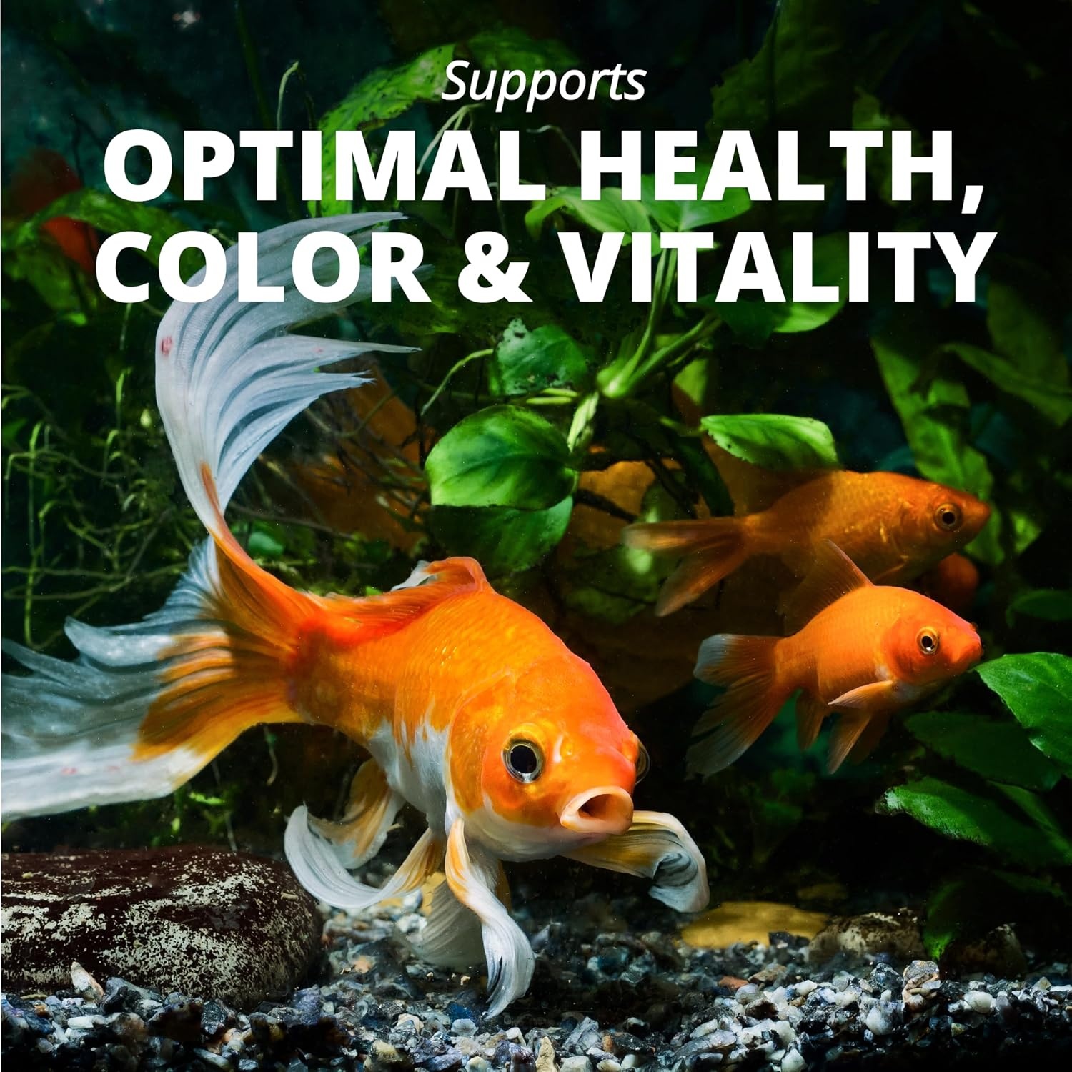 image:imageTetra Goldfish Variety Pellets Balanced Diet 187 Ounce881 Ounce Pack of 1