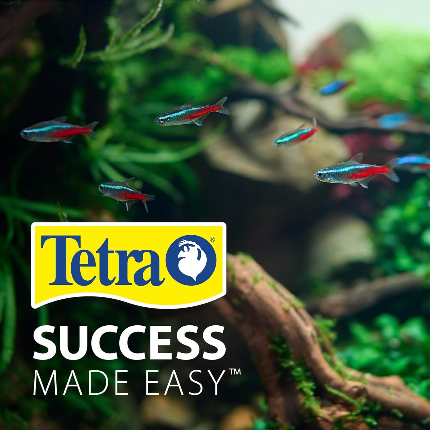 image:imageTetra LED Aquarium Hood 20 in x 10 in LowProfile Fish Tank Cover With Hidden Lighting30 Inch