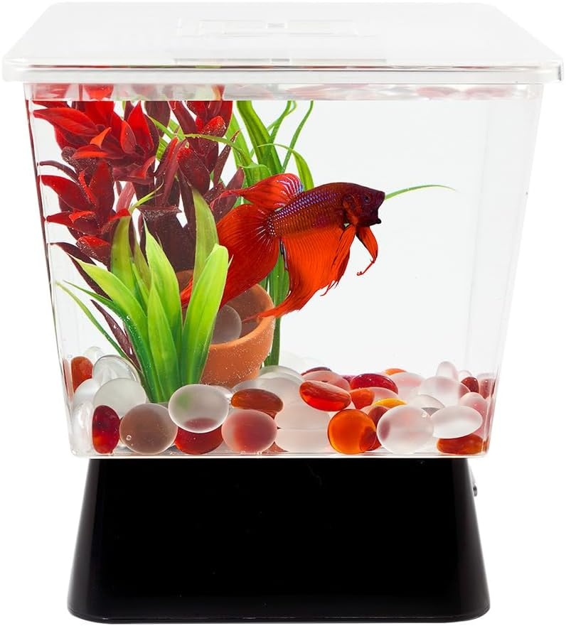 image:imageTetra LED Betta Tank Kit 1 Gallon Trapezoid aquarium With Base Lighting 24050
