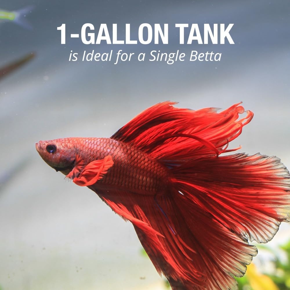 image:imageTetra LED Betta Tank Kit 1 Gallon Trapezoid aquarium With Base Lighting 24050