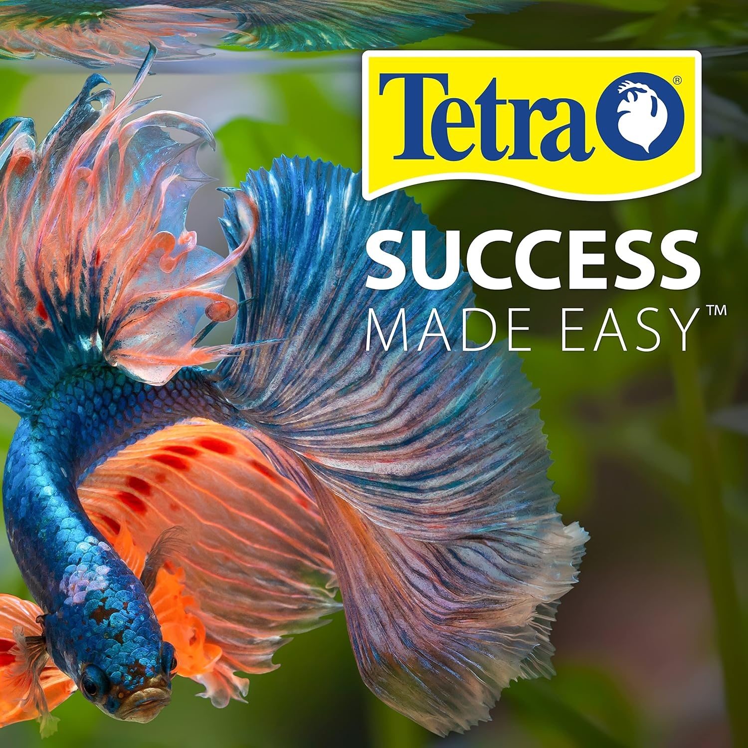 image:imageTetra No More Algae Tablets 8 tablets Controls Algae in Aquariums