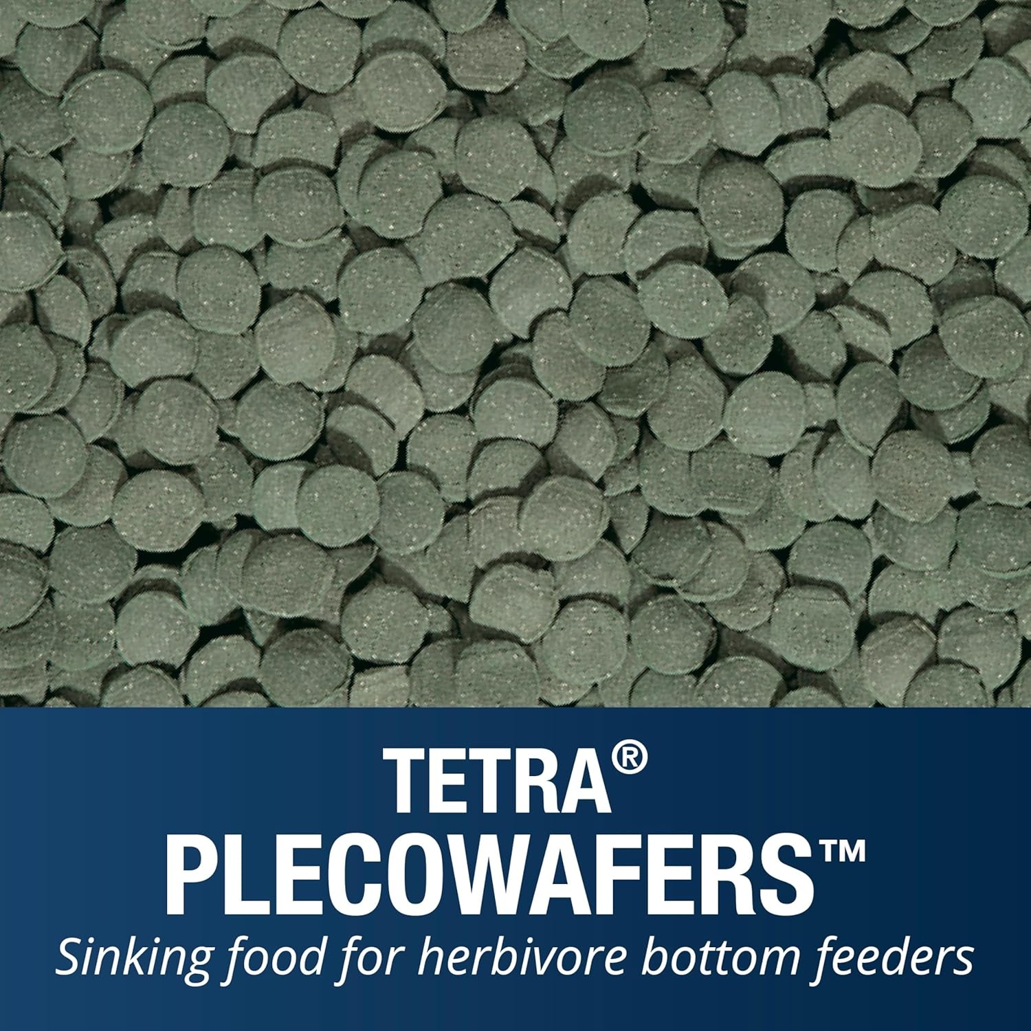 image:imageTetra PlecoWafers 86 Grams Nutritionally Balanced Fish Food For Algae Eaters 303 Ounce Pack of 165 Ounce Pack of 1