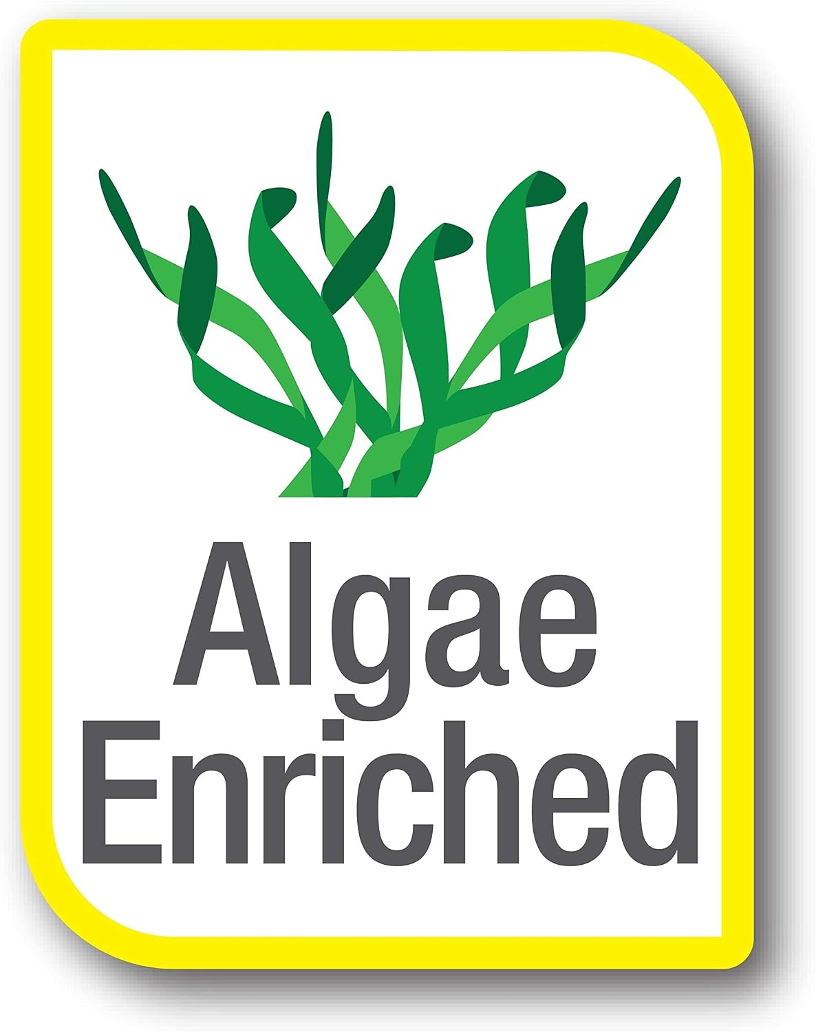 image:imageTetra PlecoWafers Nutritionally Balanced Fish Food For Algae Eaters 303 OZ Pack of 24