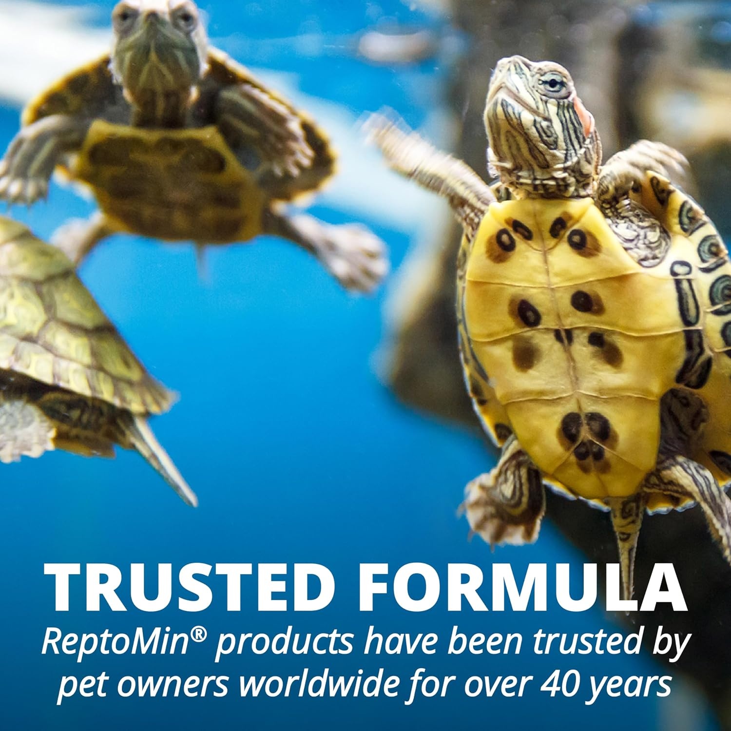 image:imageTetra ReptoMin Floating Food Sticks Food for Aquatic Turtles Newts and Frogs 1059 oz Pack of 12 Pound Pack of 1