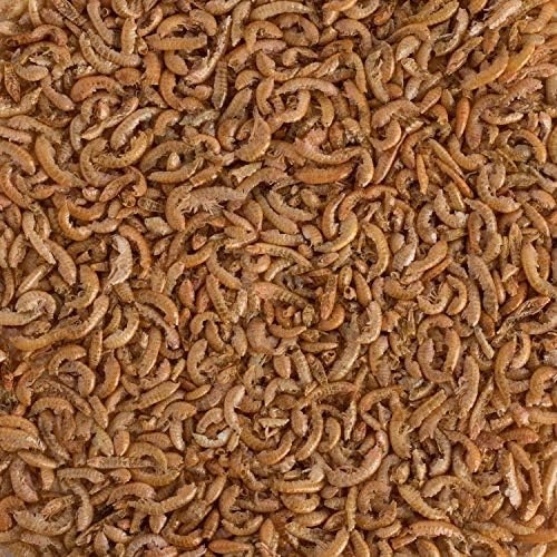 image:imageTetra ReptoMin SelectAFood 155 Ounces For Aquatic Turtles Newts And Frogs Variety Pack155 Ounce Pack of 1