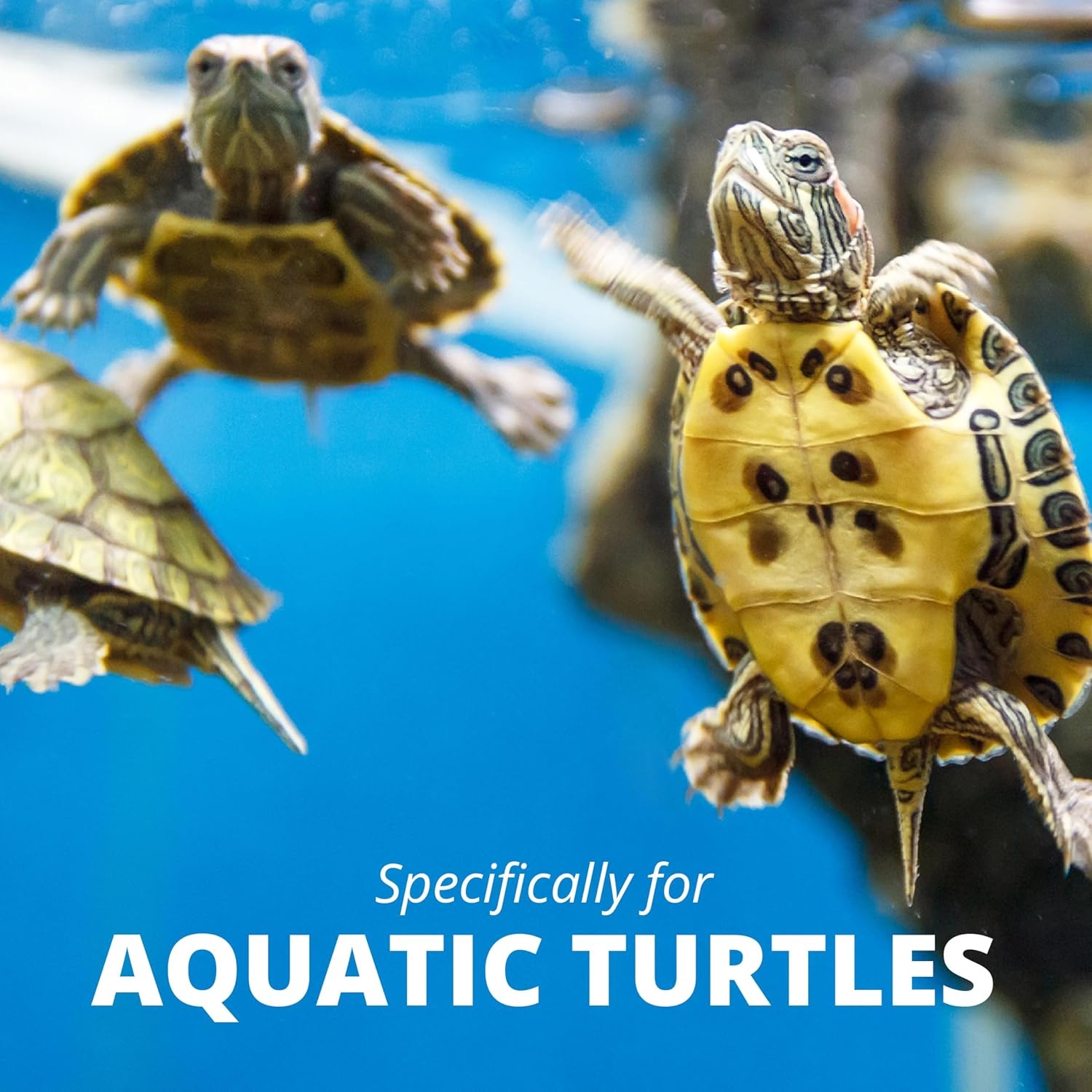 image:imageTetra ReptoMin SelectAFood 155 Ounces For Aquatic Turtles Newts And Frogs Variety Pack194 Ounce Pack of 1