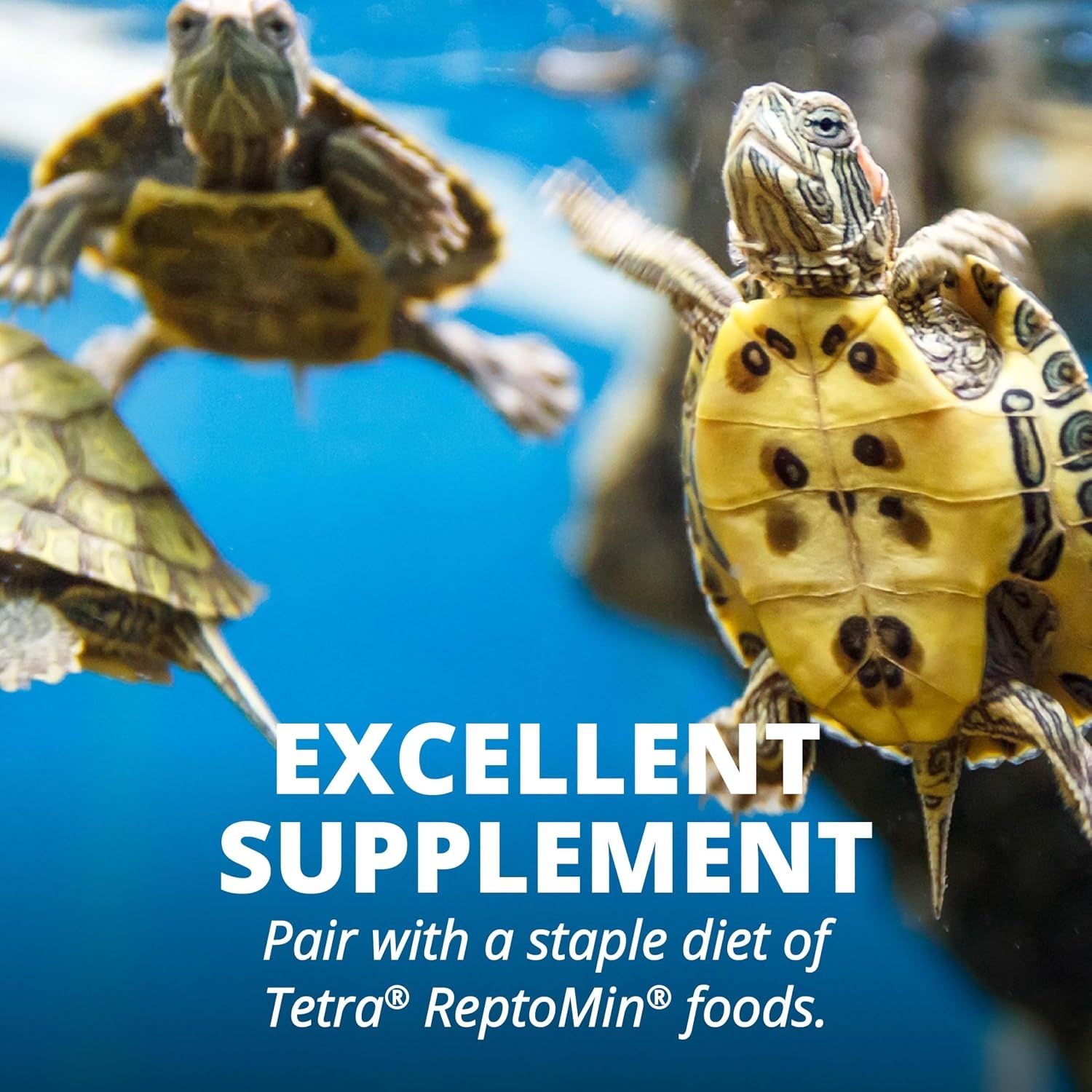 image:imageTetra ReptoTreat SunDried Shrimp 035 Ounces Shrimp Treat for Aquatic Turtles Newts and Frogs035 Ounce Pack of 1