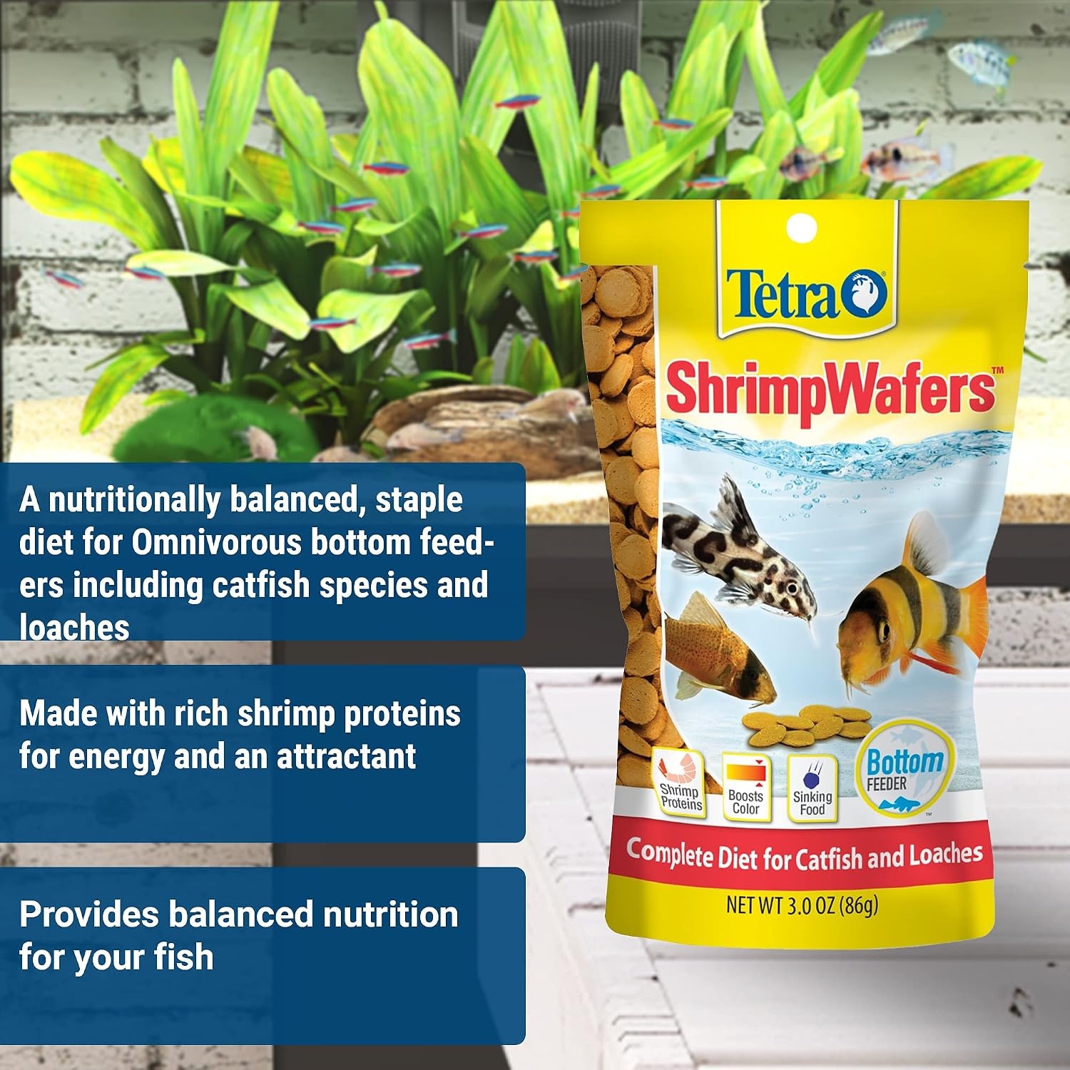 image:imageTetra ShrimpWafers Complete Diet for Catfish and Loaches 3 Ounce3 Ounce Pack of 2