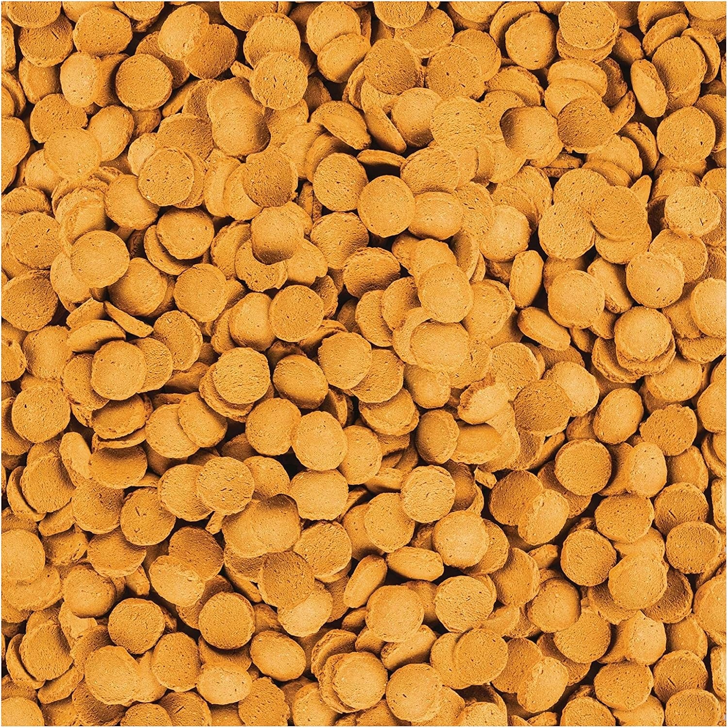 image:imageTetra ShrimpWafers Complete Diet for Catfish and Loaches 3 Ounce3 Ounce Pack of 2
