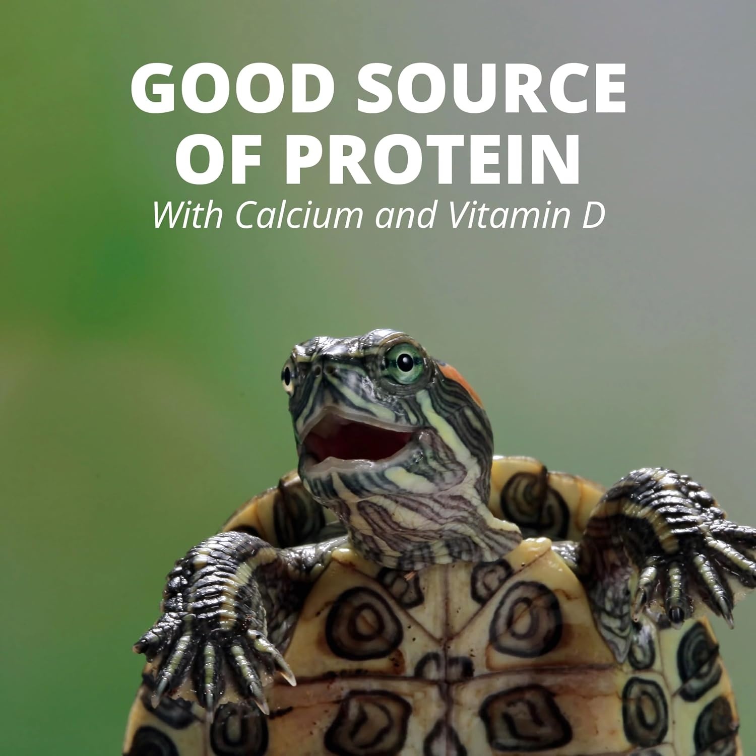 image:imageTetra TetraFauna PRO ReptoMin Pro Sticks Adult Turtle Formula Daily Diet for Aquatic Turtles 811 ozAdult Turtle