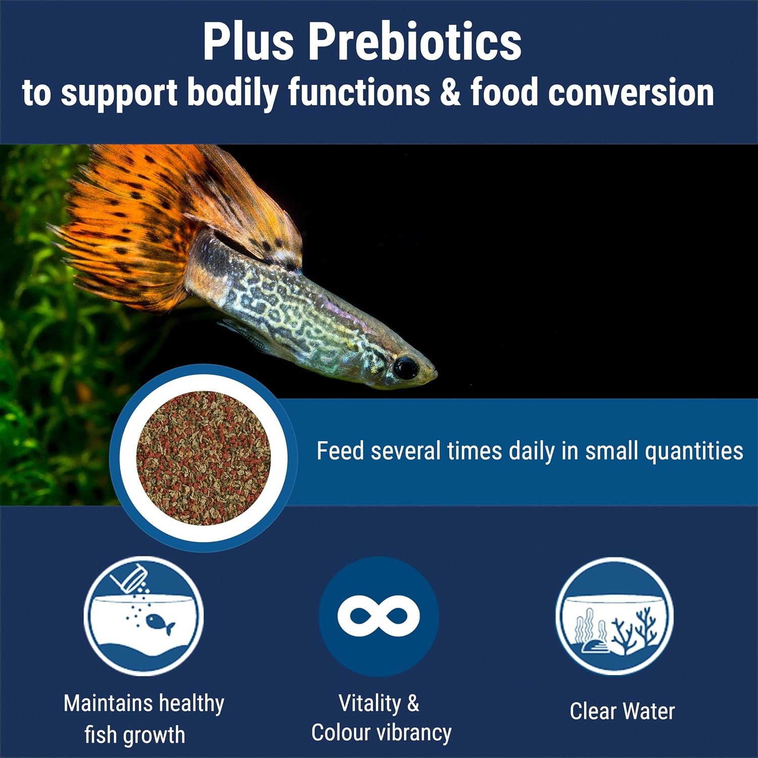 image:imageTetra TetraMin Tropical Flakes 353 Ounces Nutritionally Balanced Fish Food Model Number 16204