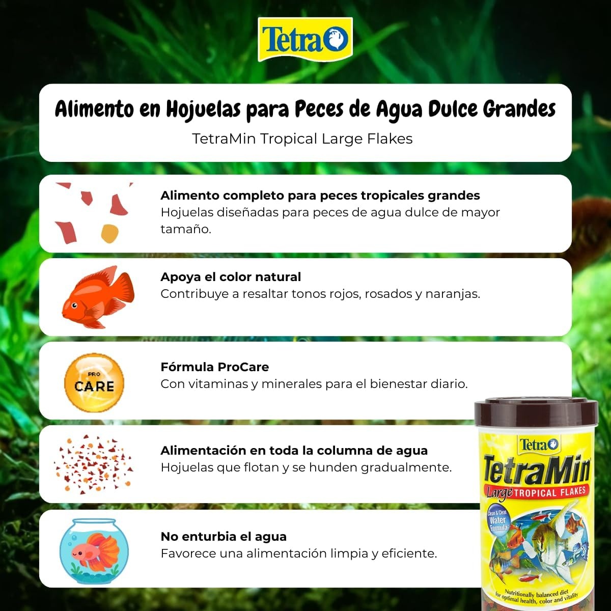 image:imageTetra TetraMin XL Tropical Flakes 282 Ounces Large Flakes Nutritionally Balanced Fish Food Tetra TetraMin Large Tropical Fish Flake Food 282 oz282 Ounce Pack of 1