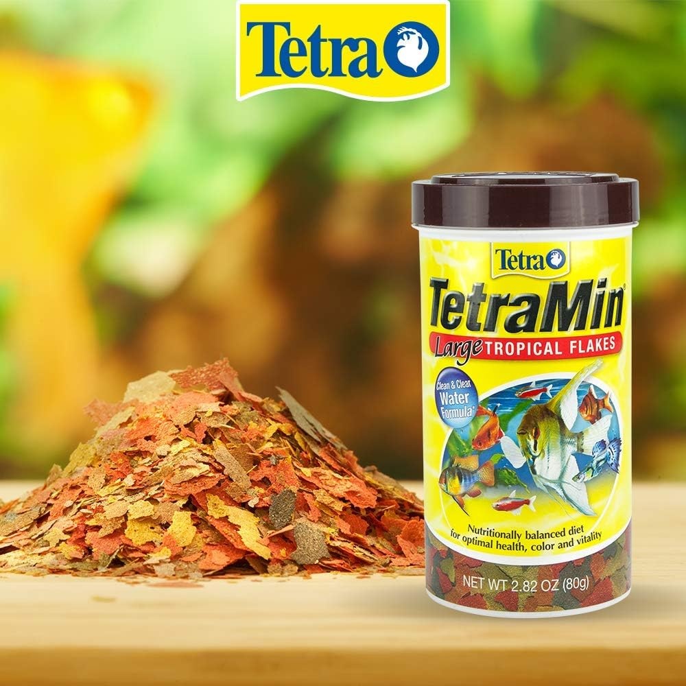 image:imageTetra TetraMin XL Tropical Flakes 282 Ounces Large Flakes Nutritionally Balanced Fish Food Tetra TetraMin Large Tropical Fish Flake Food 282 oz282 Ounce Pack of 1