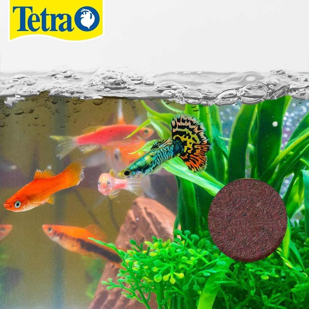 image:imageTetra Weekend and Vacation Feeder SlowRelease Fish Food for Tropical Fish 106 Ounce Pack of 1085 Ounce Pack of 2