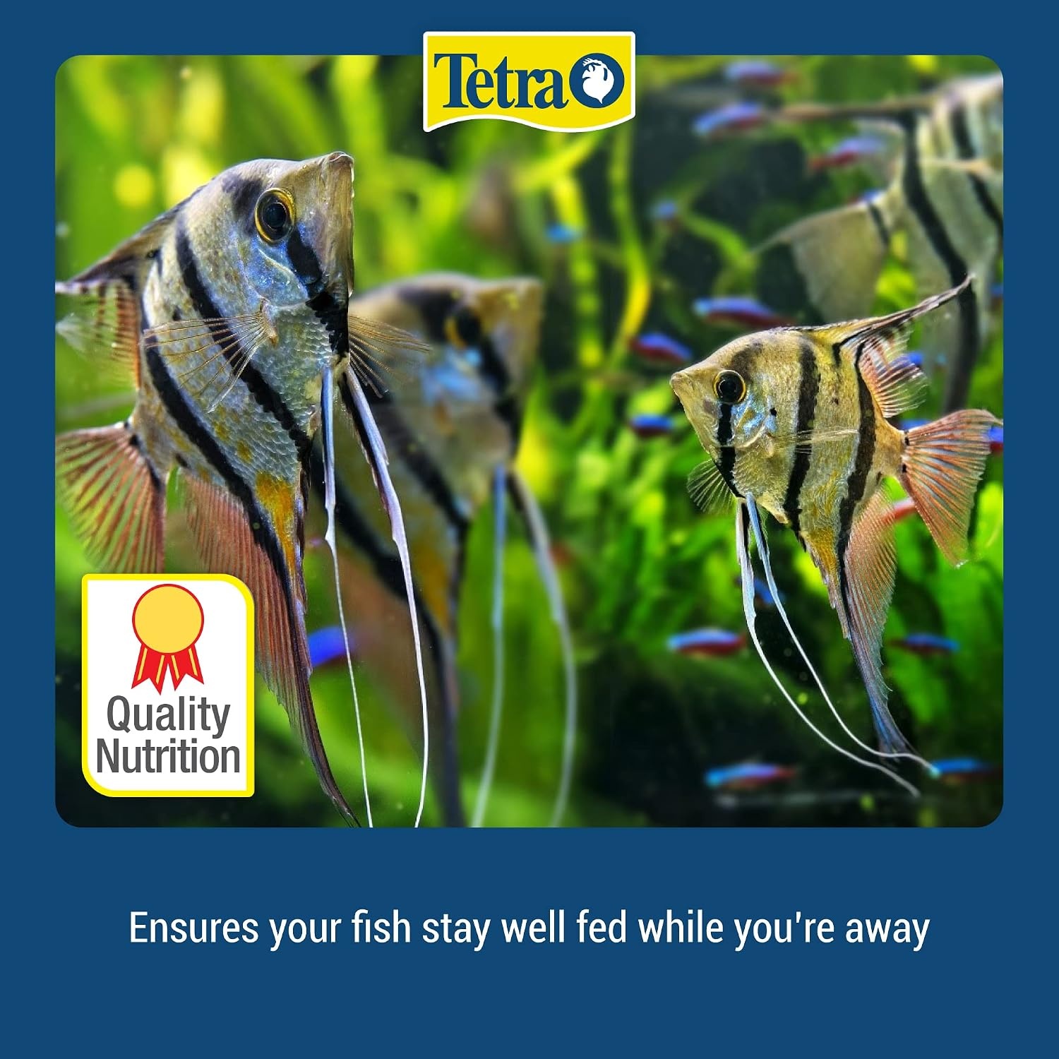 image:imageTetra Weekend and Vacation Feeder SlowRelease Fish Food for Tropical Fish 106 Ounce Pack of 1106 Ounce Pack of 4
