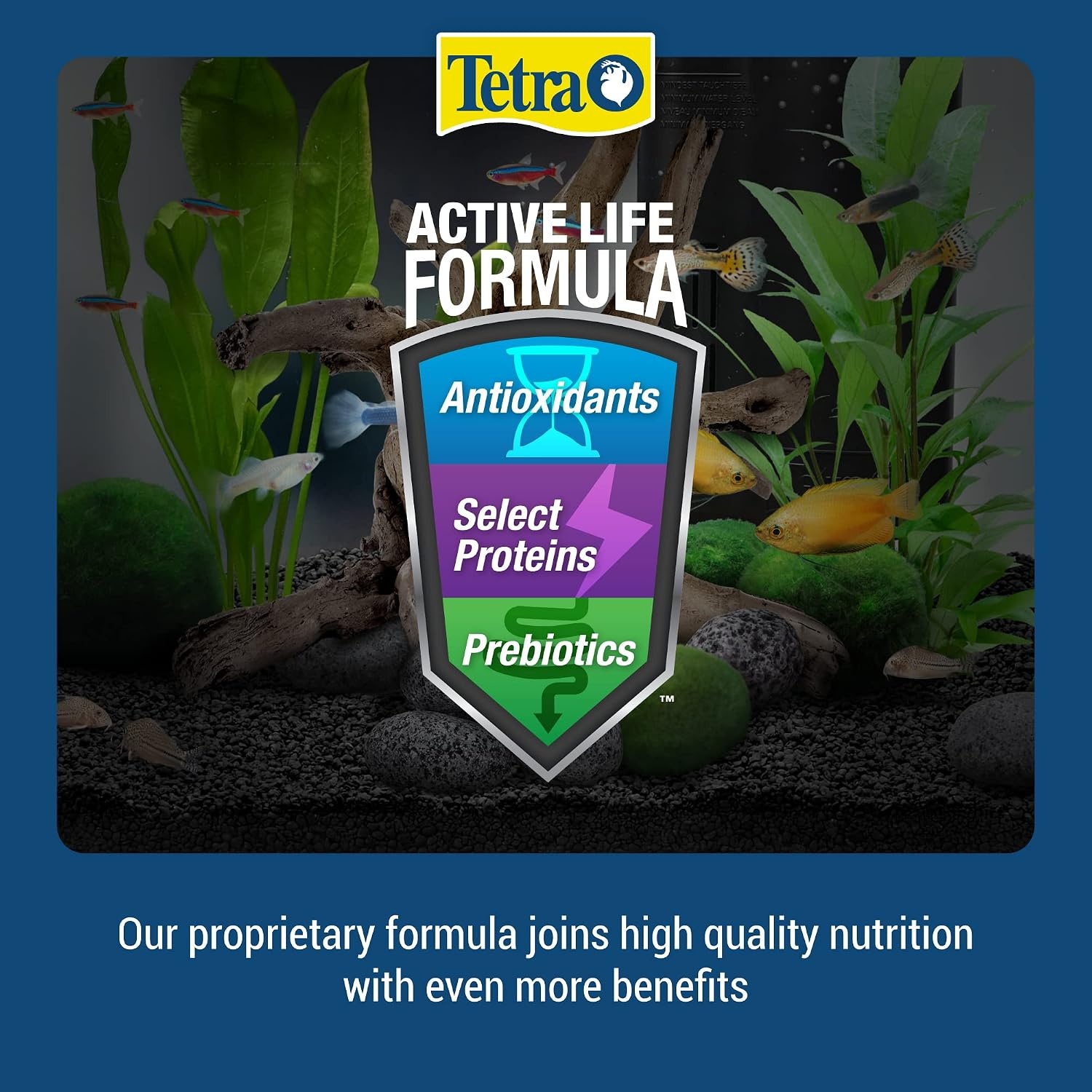 image:imageTetraCichlid Floating Cichlid Sticks 113 Ounces Pond Fish Food Nutritionally Balanced6 Ounce Pack of 1