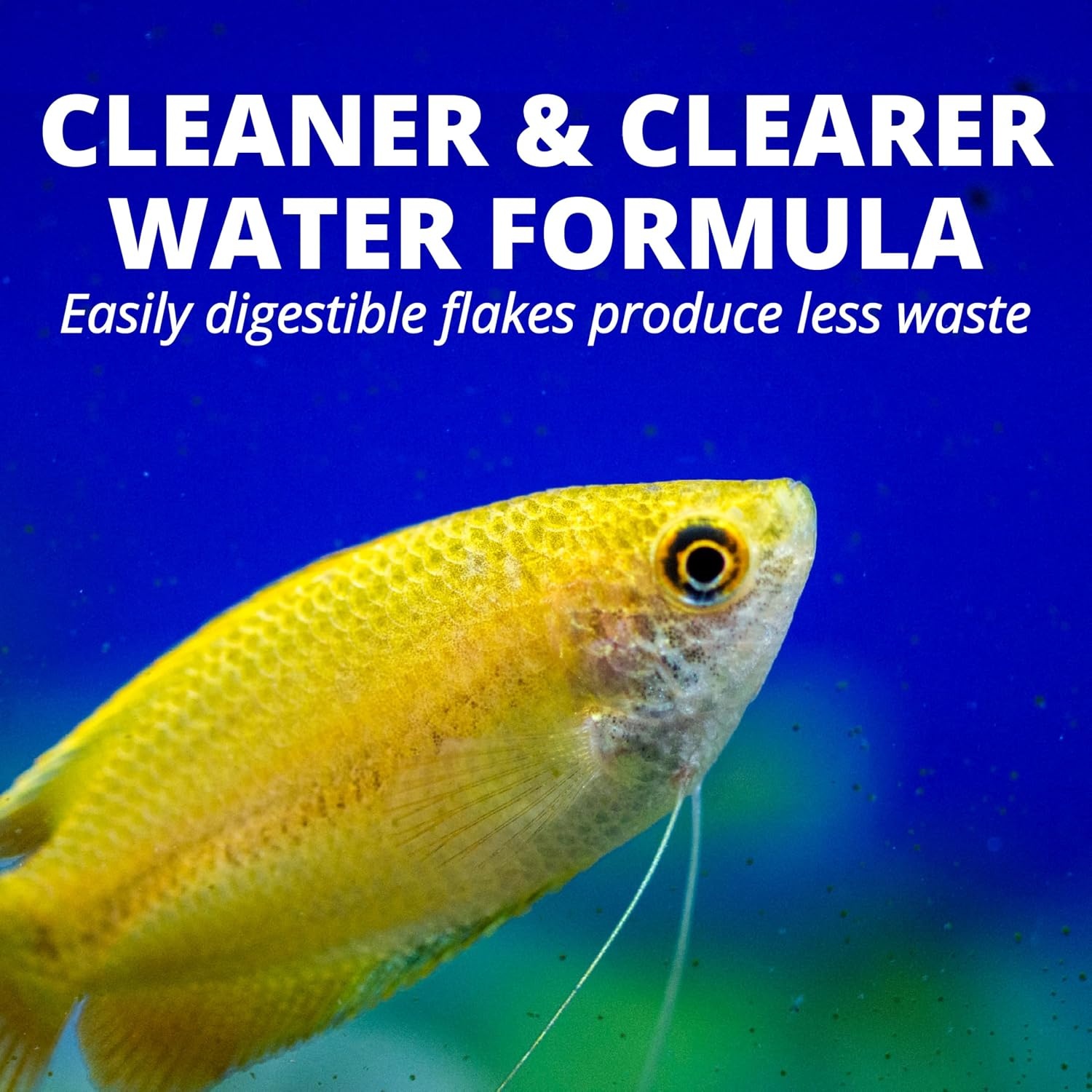 image:imageTetraColor Tropical Flakes Color Boosting Fish Food Nutritionally Balanced Diet for Tropical Fish 706 ozTropical
