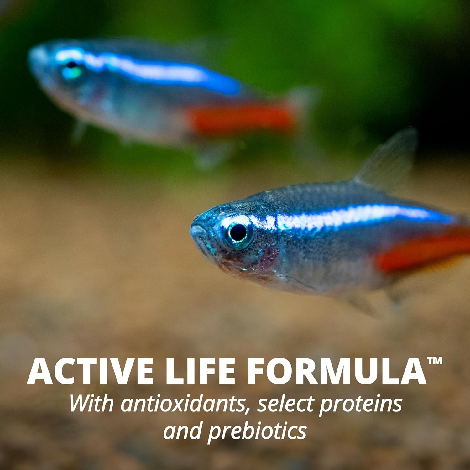 image:imageTetraColor Tropical Flakes Color Boosting Fish Food Nutritionally Balanced Diet for Tropical Fish 706 ozTropical