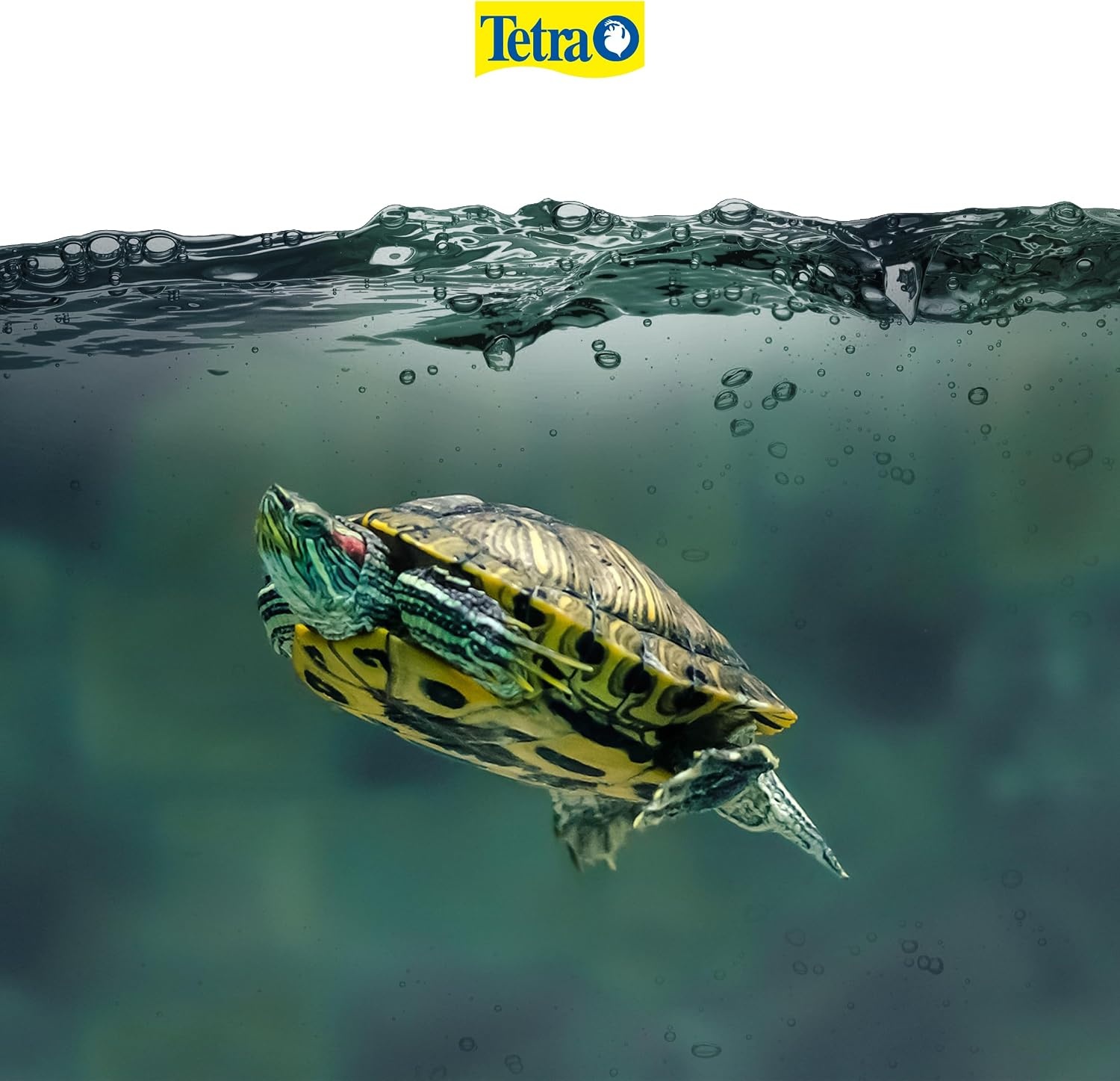 image:imageTetraFauna AquaSafe for Reptiles and Amphibians 338 Oz AquaTerrarium Water Conditioner Makes Tap Water Safe100ml
