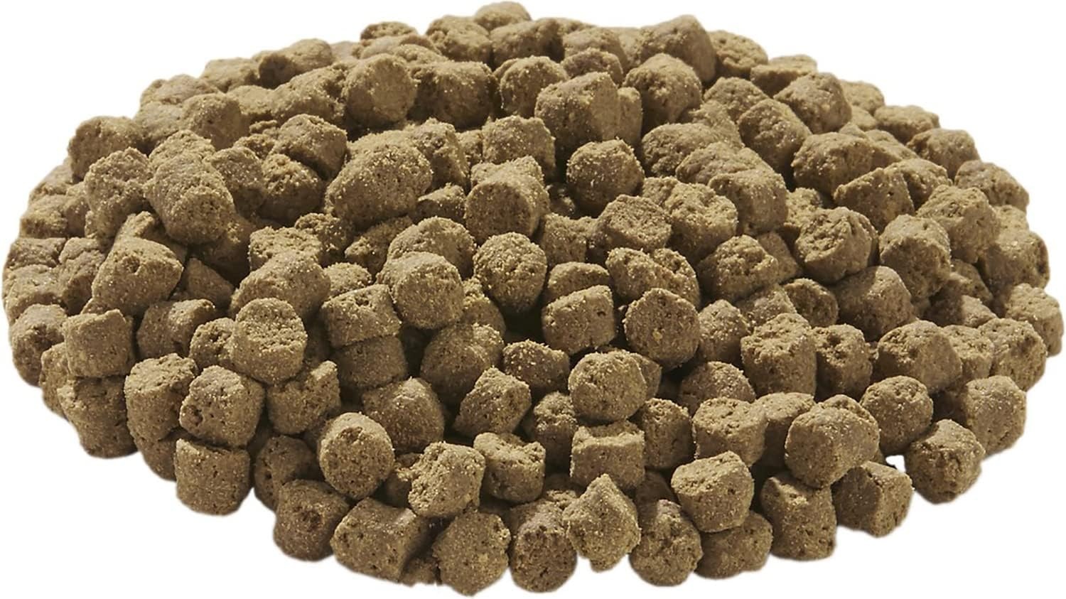 image:imageTetraFauna Hermit Crab Cakes 158 Ounces Food Pellets For All Land Crabs 100ml 16976158 Ounce Pack of 1
